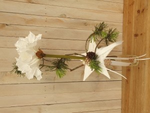 3- mise en valeur amaryllis