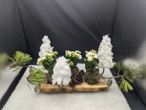 5- la compagnie des sapins