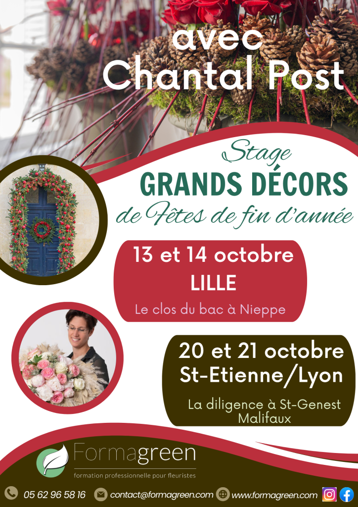 Gd décors Noël 2 stages Chantal