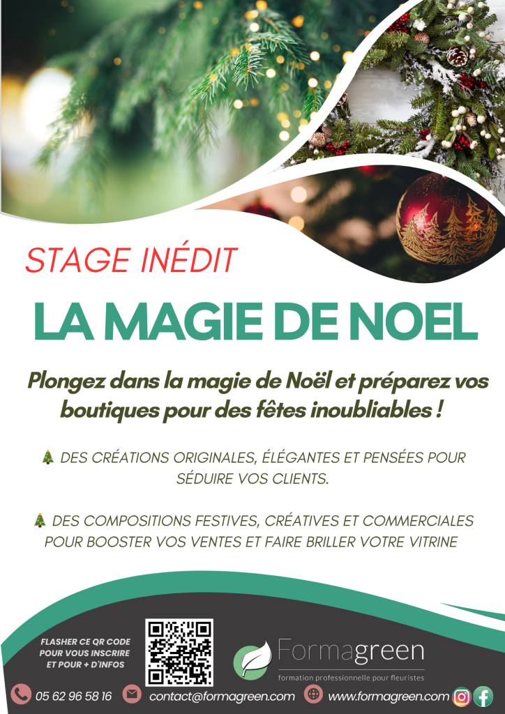 Magie de Noël