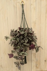suspension de macrame